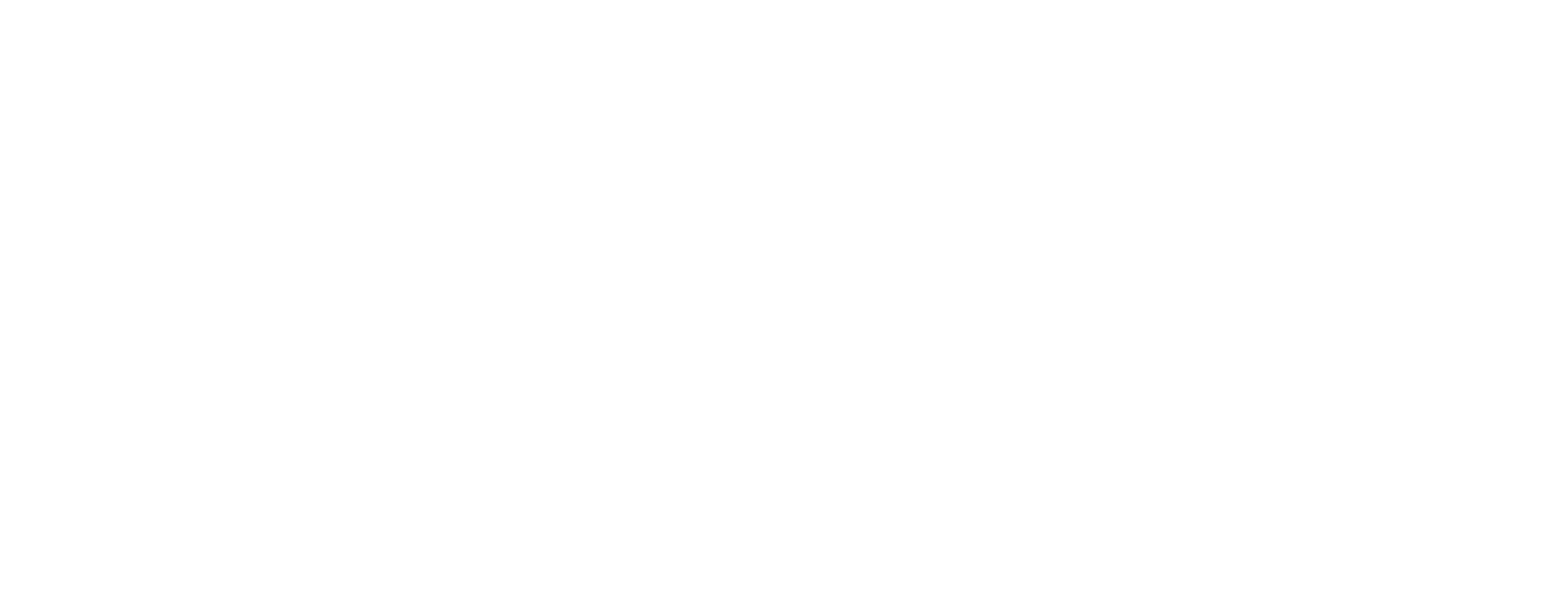 Professional Home Inspection